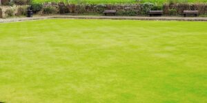 Empty bowling green.